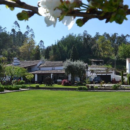 Quintal De Alem Do Ribeiro-Turismo Rural Lousã Exterior foto