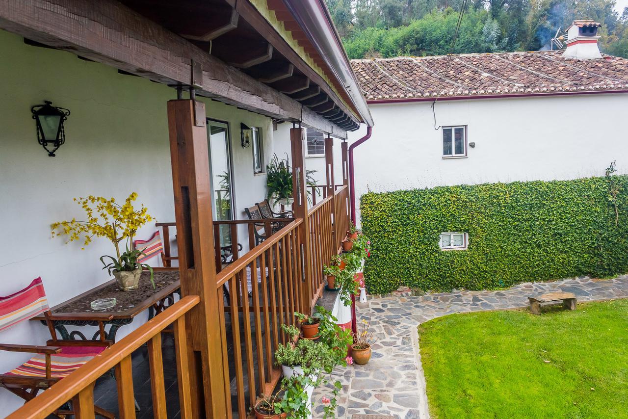 Quintal De Alem Do Ribeiro-Turismo Rural Lousã Exterior foto
