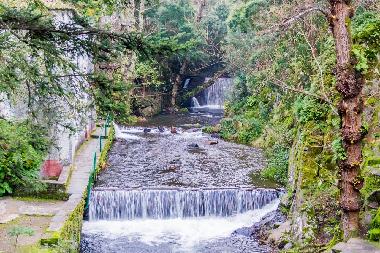 Quintal De Alem Do Ribeiro-Turismo Rural Lousã Exterior foto