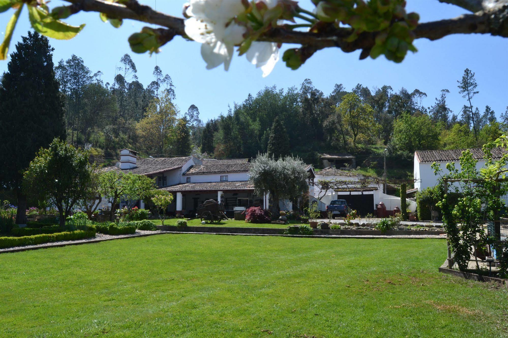 Quintal De Alem Do Ribeiro-Turismo Rural Lousã Exterior foto